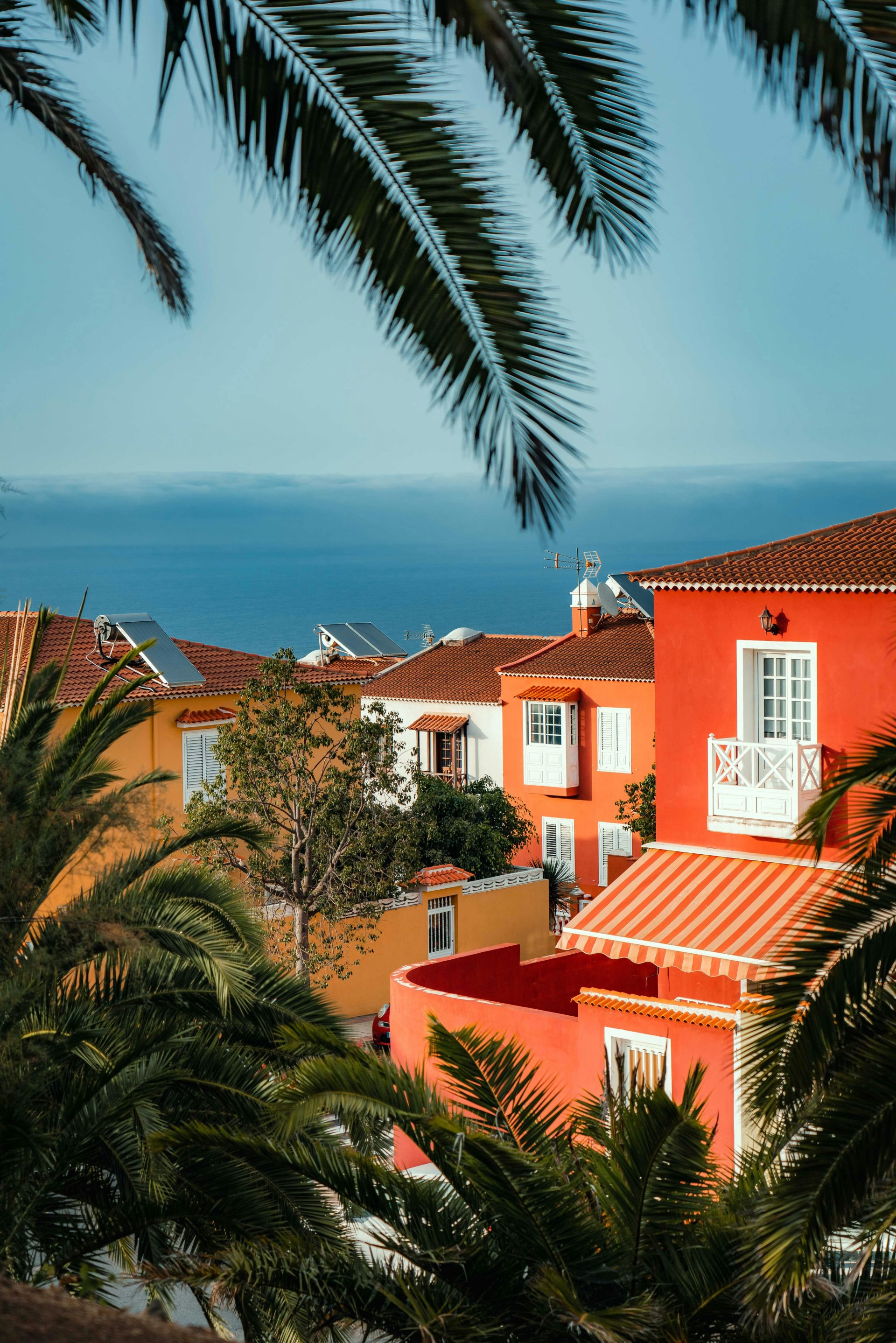 Vibrantes villas españolas con palmeras en La Orotava, España, junto al mar.