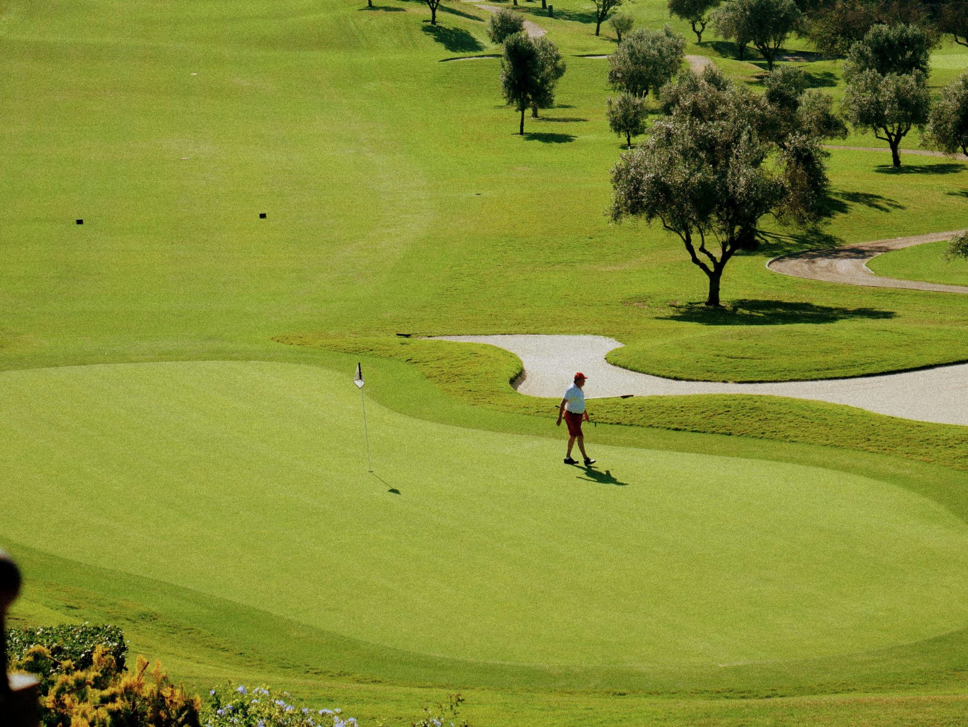 A man playing golf on a golf course